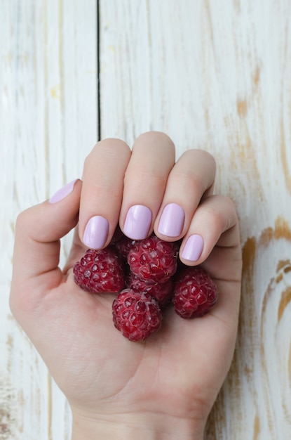 Female hand with light purple manicure holding raspberry. Premium Photo