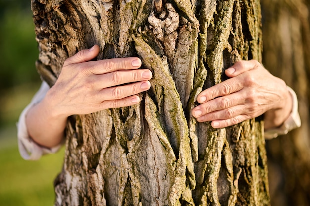 Premium Photo Female Hands Embracing Tree In Park