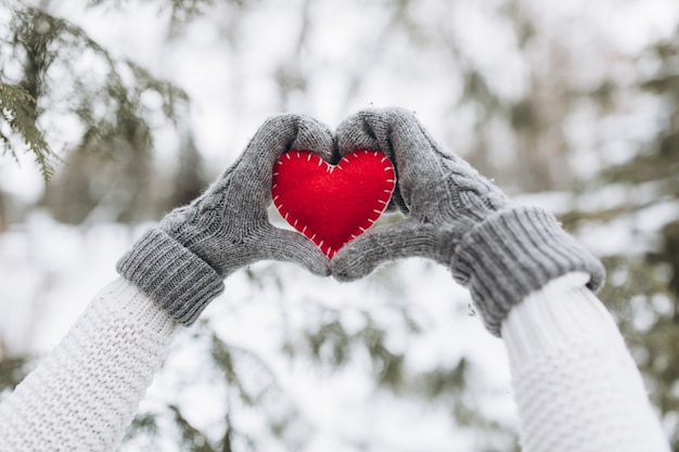 Premium Photo | Female hands in a mittens holding red decorative heart ...