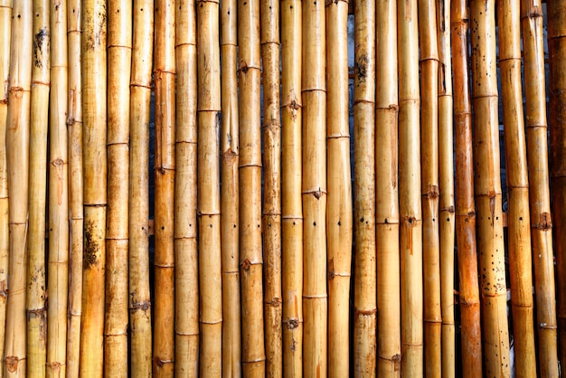 フェンス竹テクスチャ 竹の背景 プレミアム写真