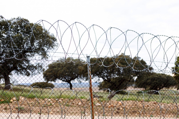 barbed wire fence barbed wire fence