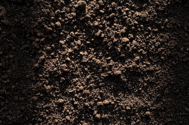 Premium Photo Fertile Loam Soil Suitable For Planting Soil Texture