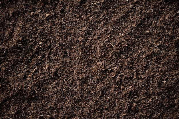 premium-photo-fertile-soil