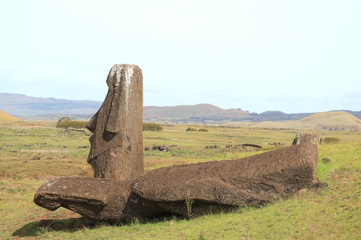 Premium Photo | Few of numerous unfinished huge moai statues at the ...