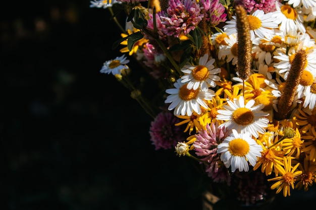 ヒナギク クローバー 小さな黄色い花 黒い背景にさまざまな草のフィールドブーケ プレミアム写真