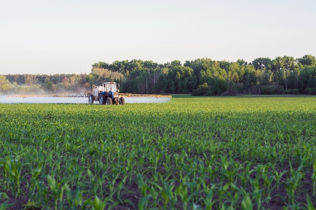 Field of young corn, at the end of which a self-propelled sprayer is deployed Premium Photo