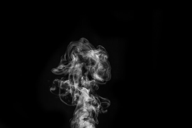 Premium Photo | Figured smoke on a dark background. abstract background ...