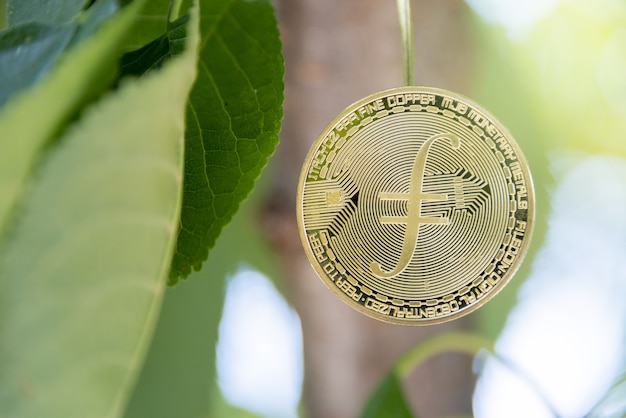 crypto currency backed by trees