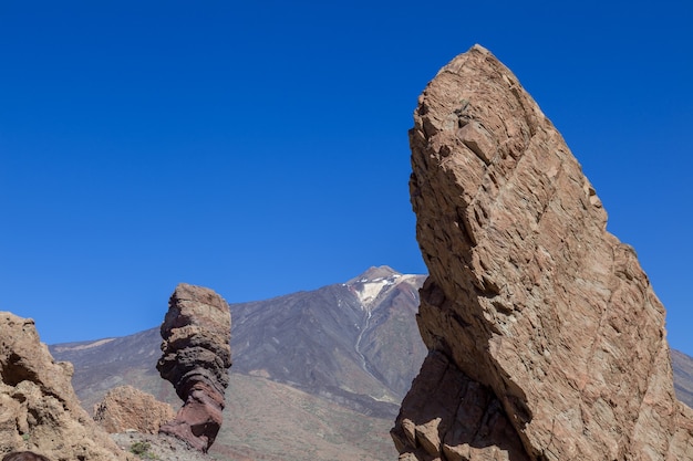 Premium Photo | The finger of god, the tree and mount teide