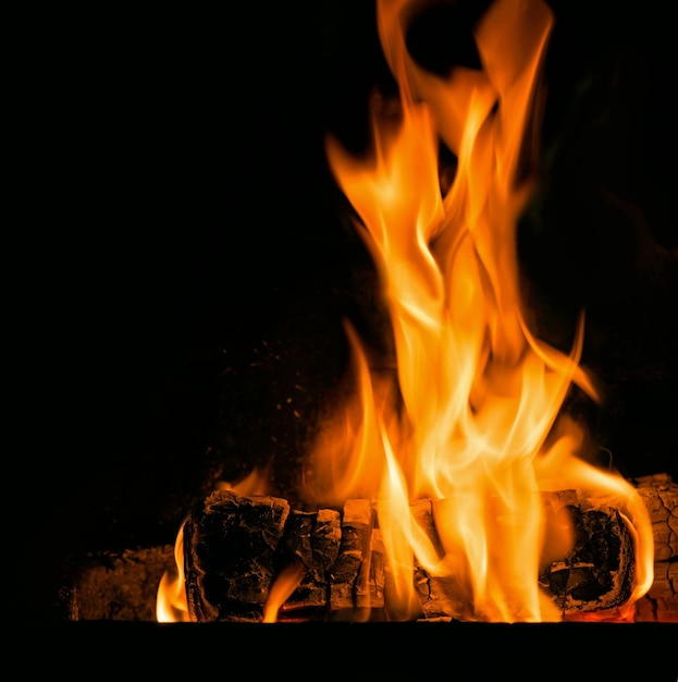 Premium Photo | Fire , bonfire , flames on the black background.