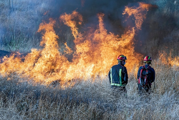 premium-photo-firefighters-trying-to-put-out-a-forest-fire