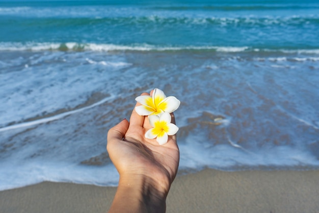 一人称視点の少女は 海を背景にプルメリアの花を手に持っています 海のコンセプトによる穏やかでリラックス プレミアム写真