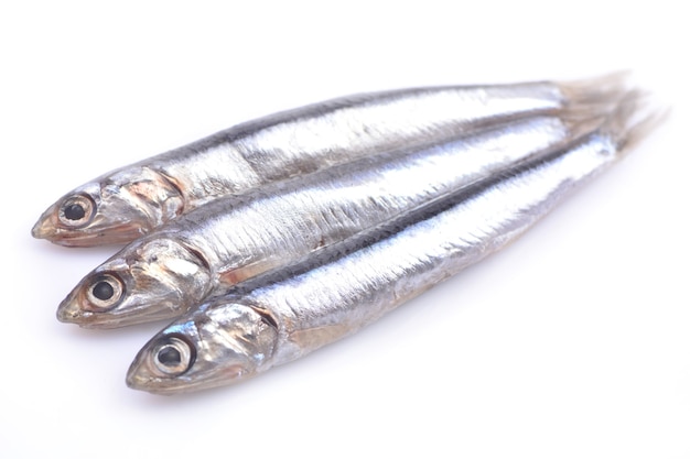 Premium Photo | Fish of sprat