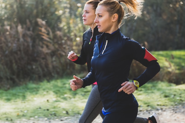 Free Photo | Fit girls running in the park