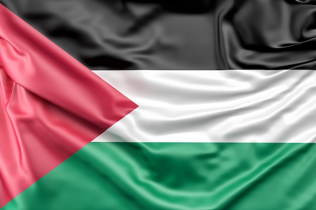 Free Photo | Flag of palestine