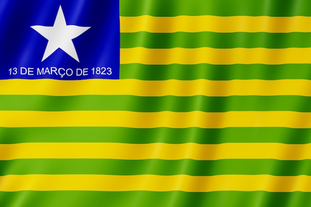 Premium Photo Flag Of Piaui State In Brazil