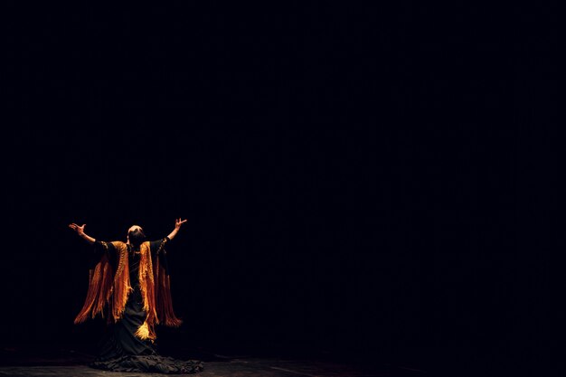伝統的な衣装のフラメンコダンサー ステージでフラメンコスペイン舞踊 スペースをコピーします プレミアム写真