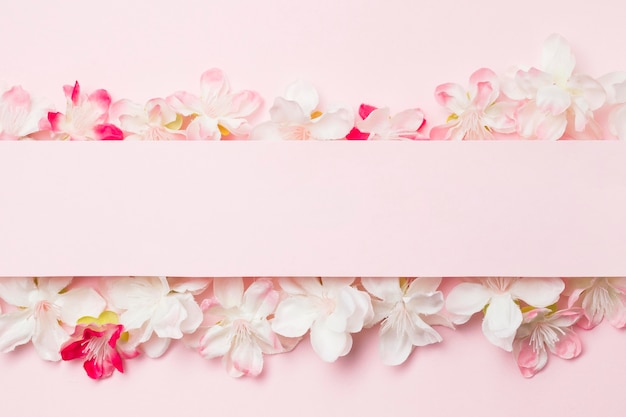 空白の紙とピンクの背景にフラット横たわっていた花 プレミアム写真