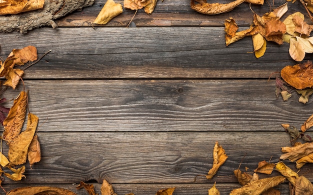 Flat lay frame with dried leaves and copy-space Free Photo