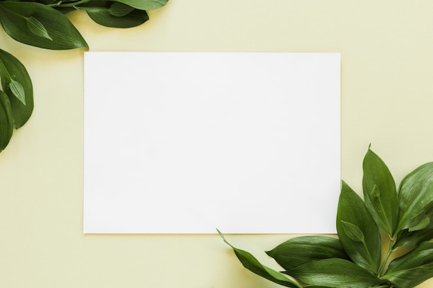 Free Photo | Flat lay of paper card template with leaves