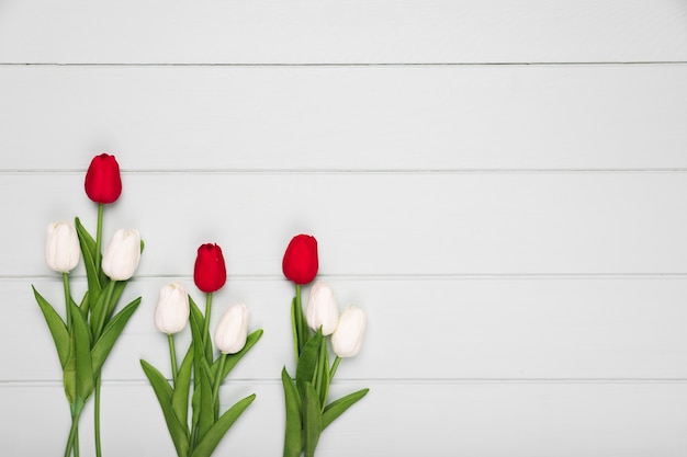 Flat lay red and white tulips on table 