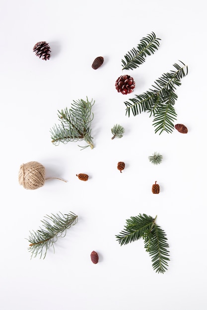 Free Photo | Flat lay seasonal pine leaves on plain background