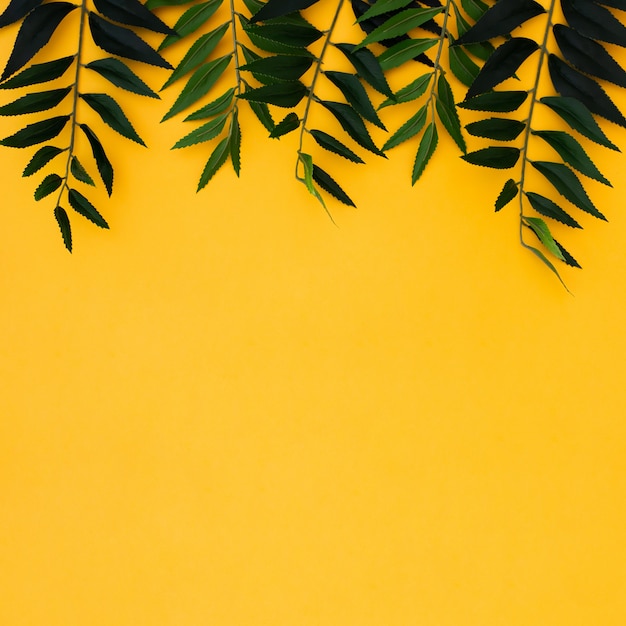 Free Photo | Flat lay tropical palm leaves on yellow copy space