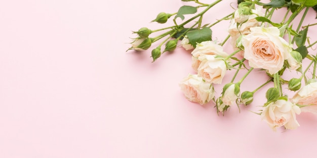 Flat lay white roses with copy-space | Free Photo