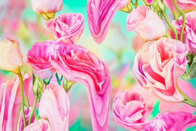 花の背景の壁紙 ピンクのバラのサイケデリックアート 無料の写真