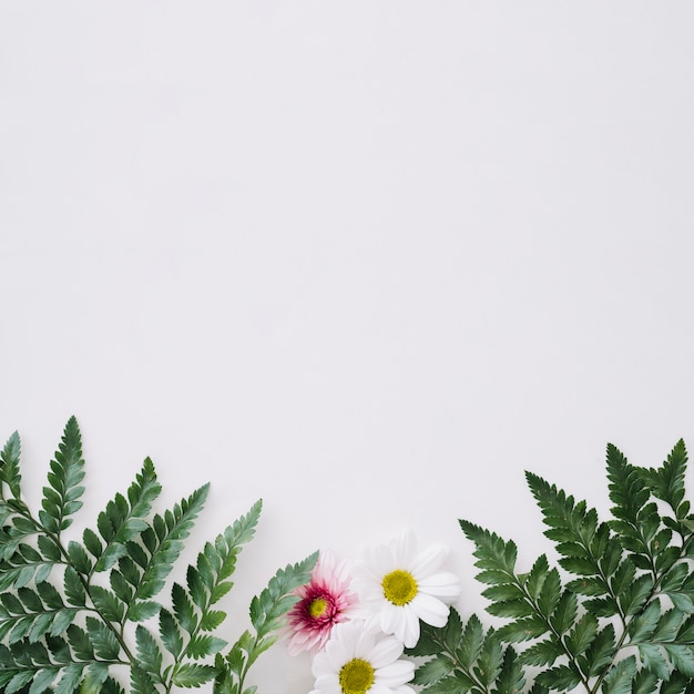 Free Photo | Floral leaves background