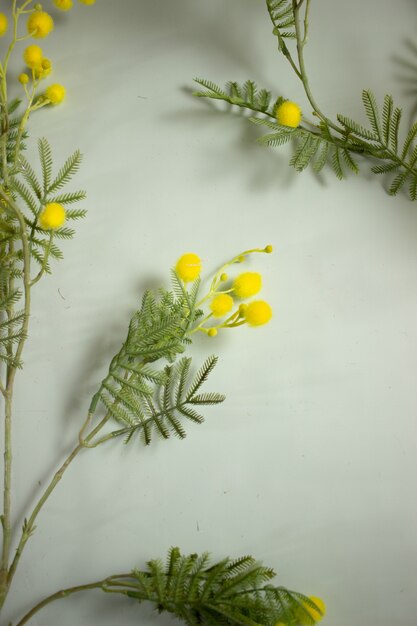 Premium Photo | Floral still life on a light background