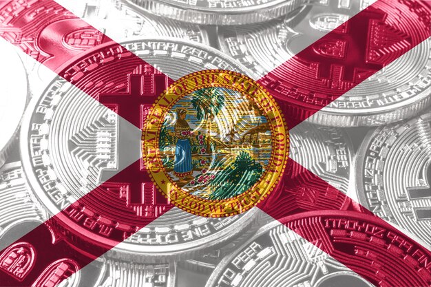 florida is creating crypto currency