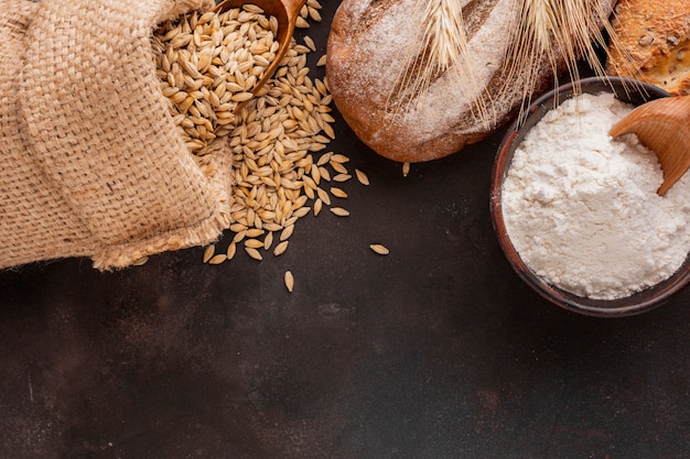 Flour blow with wheat seeds Free Photo