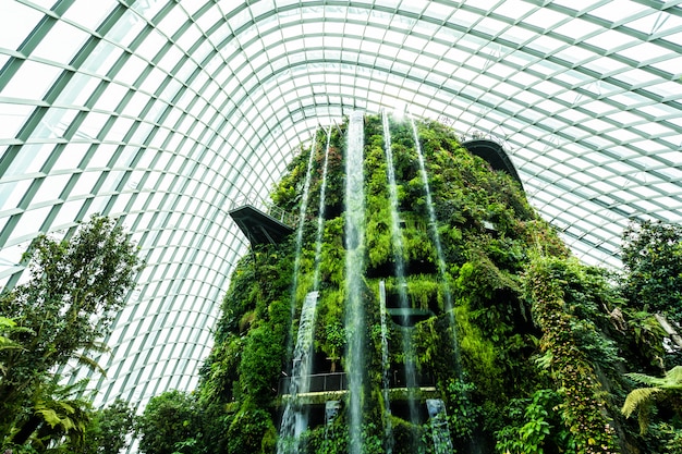 Free Photo | Flower dome garden and greenhouse forest for travel