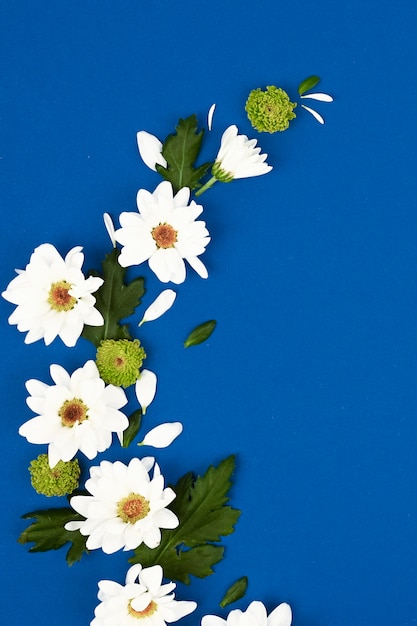 花のパターン 青色の背景に白い花 テキストのためのスペース 平面図 フラットレイアウト プレミアム写真