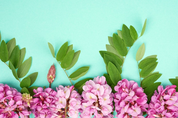 Premium Photo Flowering Branch Robinia Neomexicana With Pink Flowers Green Leaf