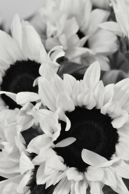 花の背景 美しい花の壁紙 花のかぶと プレミアム写真