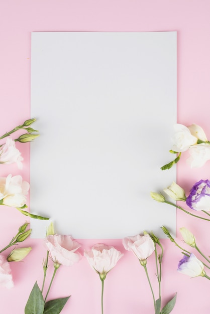 Flowers background copy space Photo | Free Download