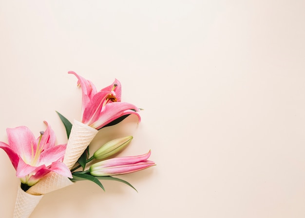 Flowers background | Free Photo