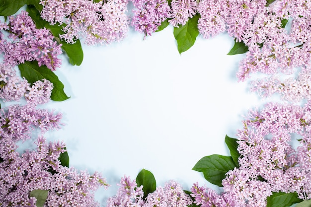 コピースペースと明るい青の背景にライラックの花の花の組成 プレミアム写真