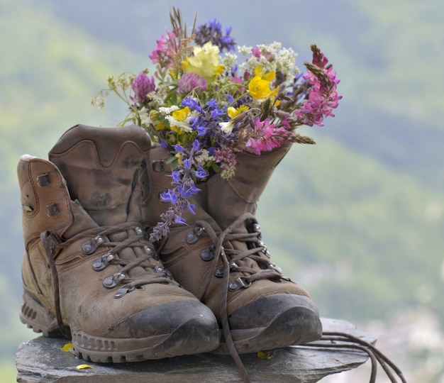 Premium Photo | Flowers and hiking shoes
