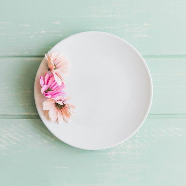 Free Photo | Flowers on plate