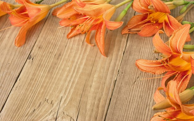 Premium Photo | Flowers on a wooden background