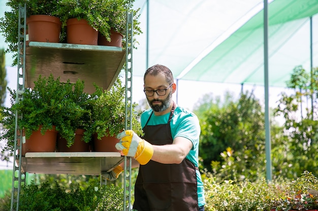 観葉植物の棚を保持し 鉢植えの植物とラックを移動する焦点を当てた男性の花屋 ミディアムショット コピースペース ガーデニングの仕事の概念 無料の写真