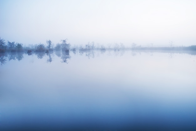 Premium Photo | Fog in the water