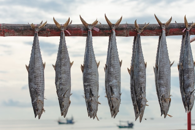 食品の保存 塩漬け魚は乾燥塩で養生され 後で保存される プレミアム写真