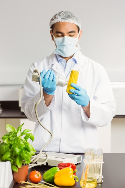 Food scientist using device on corn cob Photo | Premium ...