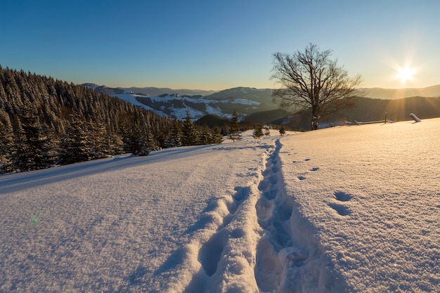 Premium Photo Footprint Track Path In Deep Snow In Empty Field
