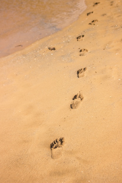 Premium Photo | Footprints in the beach pointing out the way somebody ...