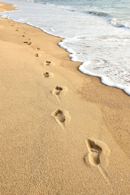 Premium Photo | Footprints on beach